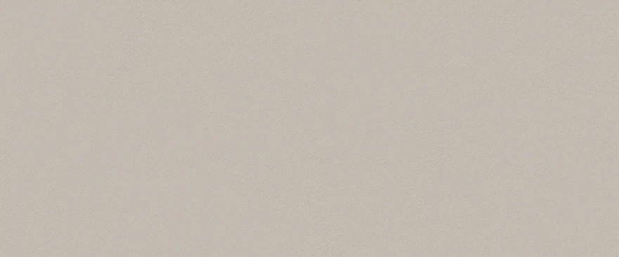 Керамическая плитка True Color Fossil 50x120 RT fTDU