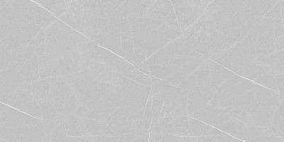 Pietra Gray 502 (полировка) 80х160