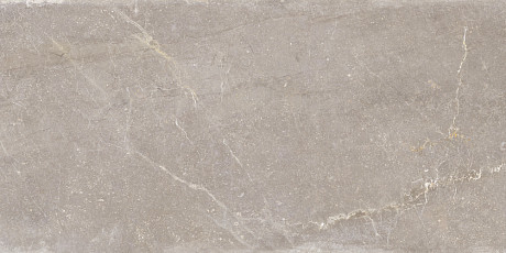 Керамогранит Taupe Soft (60x120) 457