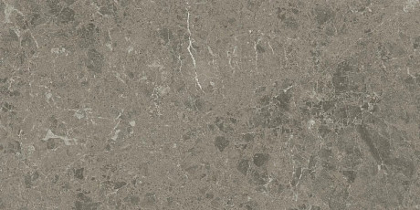 Керамогранит Marvel Meraviglia Grigio Elegante AJJN (30x60)
