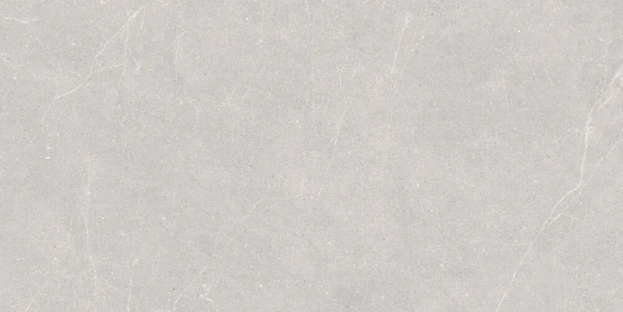 Керамогранит Elenta Ash Carving 60x120