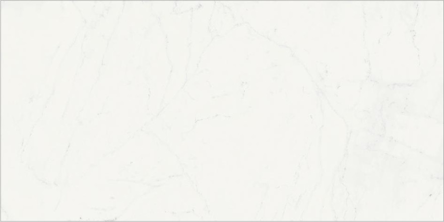 Керамогранит Charme Deluxe Bianco Michelangelo (80x160) Lux 610015000500 610015000500