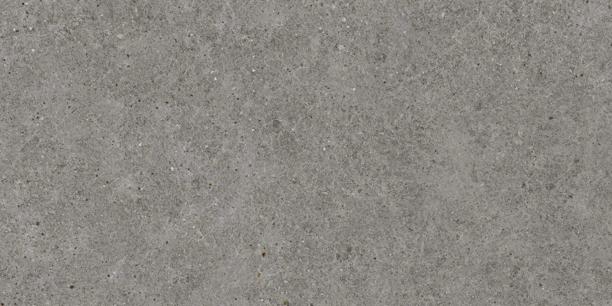 Boost Stone Smoke 60x120 A6Q9 A6Q9