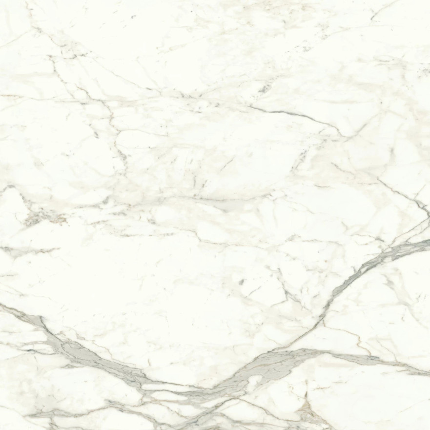 Marvel Calacatta Prestigio 120x120 Matt A4Q5 A4Q5