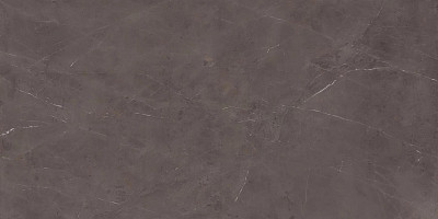 Precious Brown Bookmatch Silk 160x320 AKGC