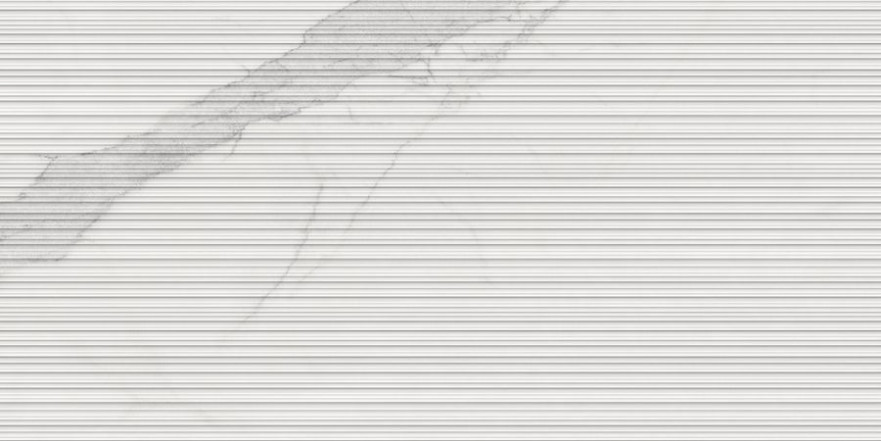Blanc Calacatta Cane Ductile 60x120 LV10072