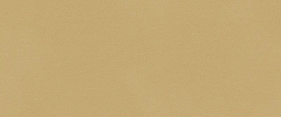 Керамическая плитка True Color Caramel 50x120 RT