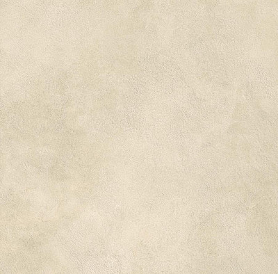 Boost Expression Camel 60x60 AYVP