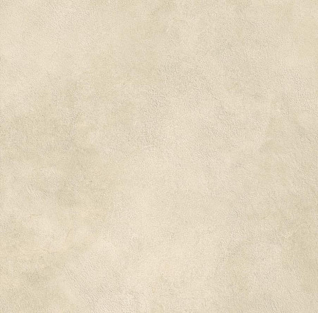 Boost Expression Camel 60x60 AYVP