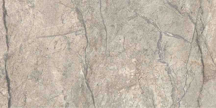 Керамогранит Anima Futura Amazing Silver Luc (60х120)