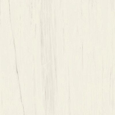 Marvel Bianco Dolomite 160x160RT Lapp. AO53