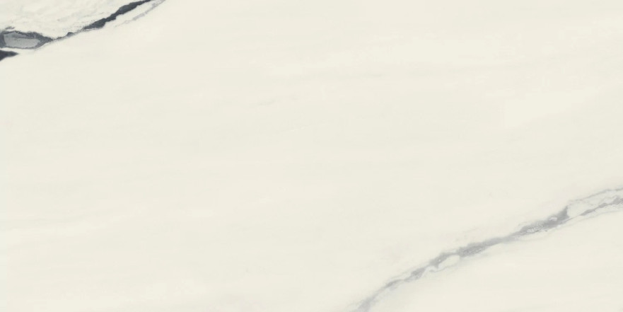Керамогранит Forte Dei Marmi Panda White Rett Cer (60x120) 610015000656 610015000656