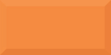 Керамическая плитка Monocolor Naranja Biselado Brillo (10x20)