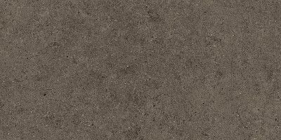Boost Stone Tobacco 60x120 A6RA