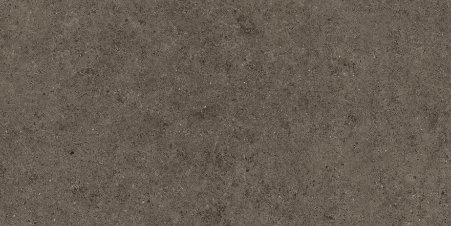 Boost Stone Tobacco 60x120 A6RA A6RA