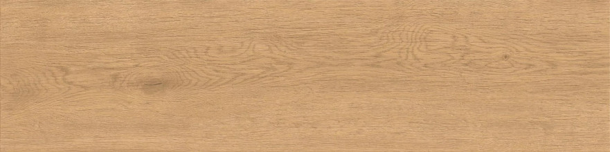 Entice Pale Oak Natural 30x120 20mm A9DD A9DD