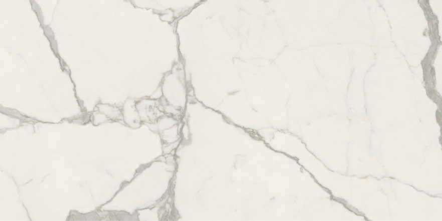 Керамогранит Anima Futura Majestic White Luc (60х120)
