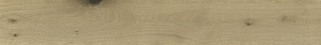 Kora Walnut 22.5x160