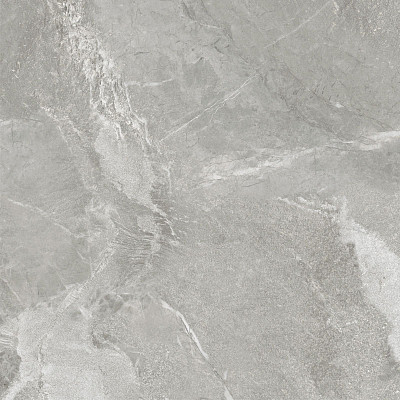 Керамогранит Wild Light (60x60) D60259M