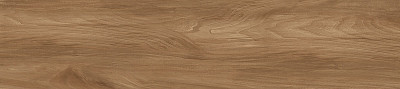 Керамогранит Ashton (20x90) GFA92ATN44R