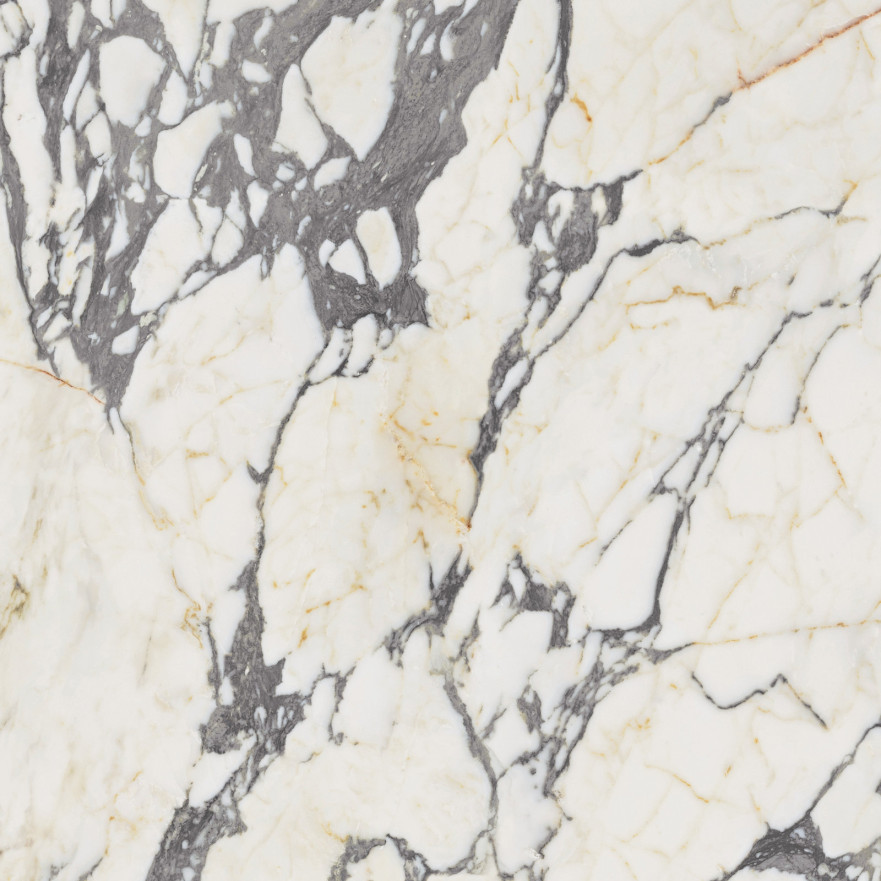 Керамогранит Epoque 21 Arabescato Ant PF60009346 (60x60) PF60009346