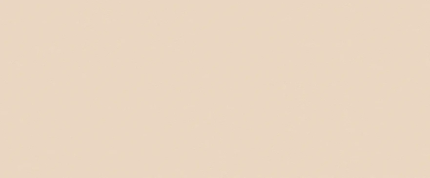 Керамическая плитка True Color Talc 50x120 RT fTDW