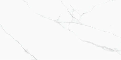Керамогранит CRV-3141 carving (60х120) MPL-058816