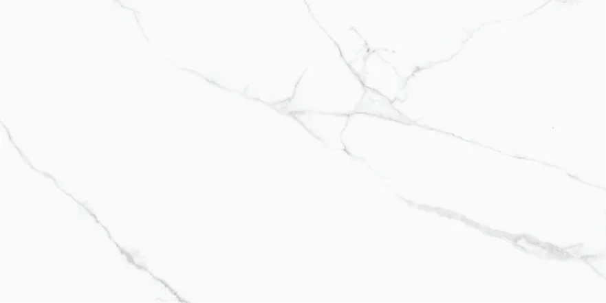 Керамогранит CRV-3141 carving (60х120) MPL-058816 MPL-058816