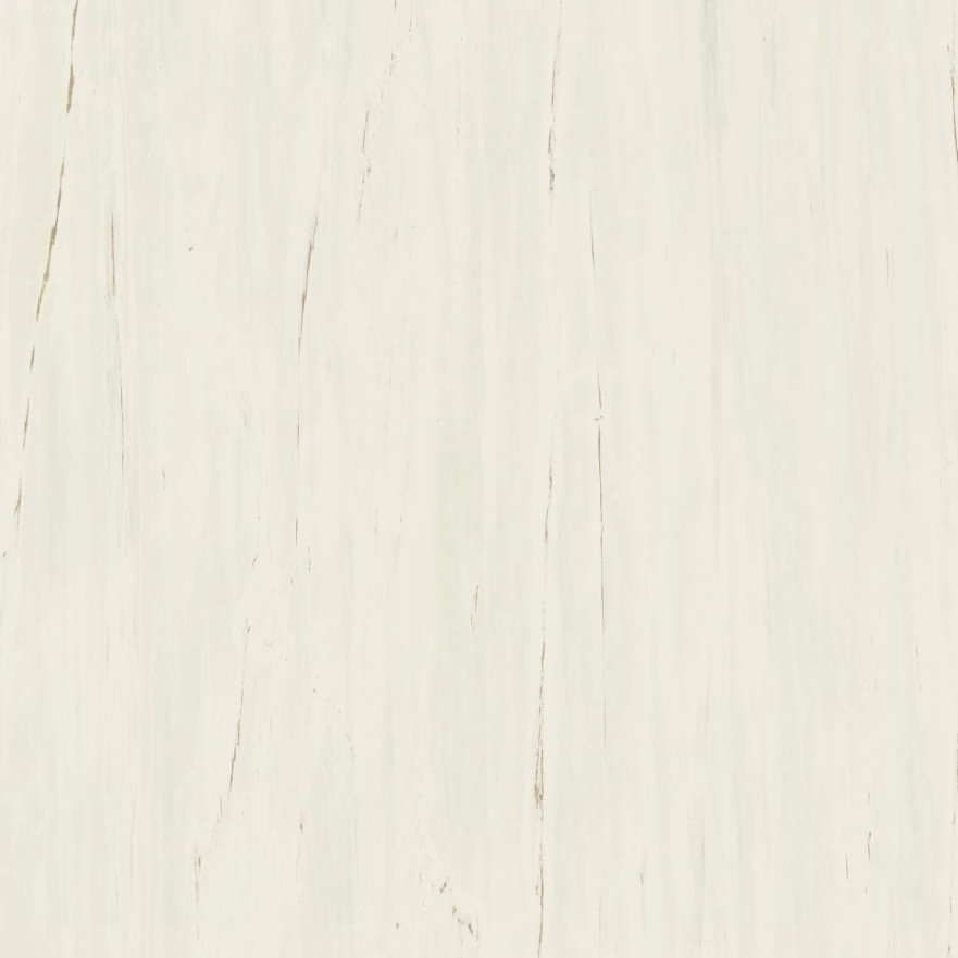 Marvel Bianco Dolomite 120x120 Lapp. AZTT AZTT