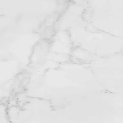 Керамогранит Carrara Blanco Brillo 59,6x59,6 100325575