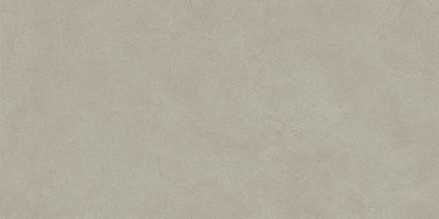Boost Natural Pro Dove 60x120 AQ9D