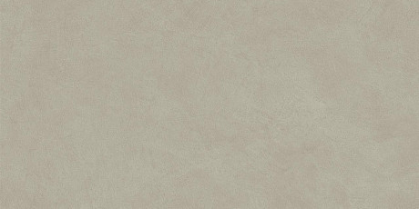 Boost Natural Pro Dove 60x120 AQ9D