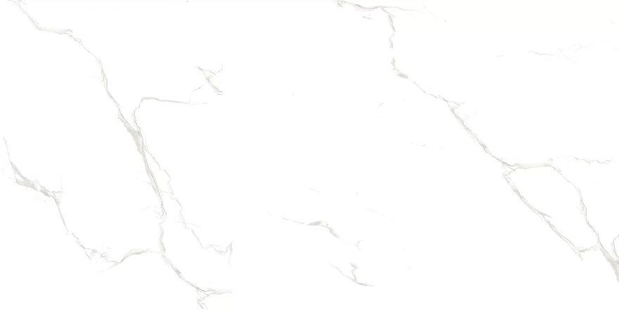 Sisam White Sisam White Glossy (60x120) RP-203102 RP-203102