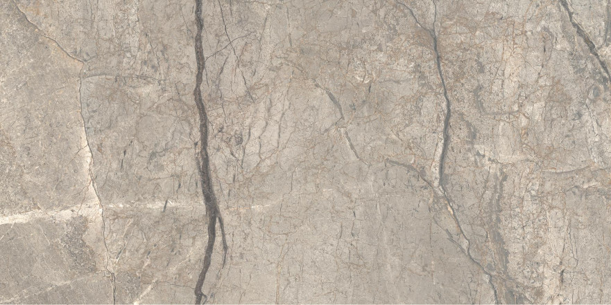 Керамогранит Anima Futura Amazing Silver Luc (60х120)