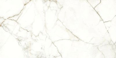 Керамогранит Rhapsody Emotion naturale rettificato 120124 (60x120)
