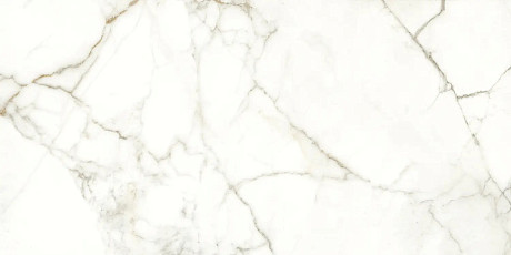 Керамогранит Rhapsody Emotion naturale rettificato 120124 (60x120)