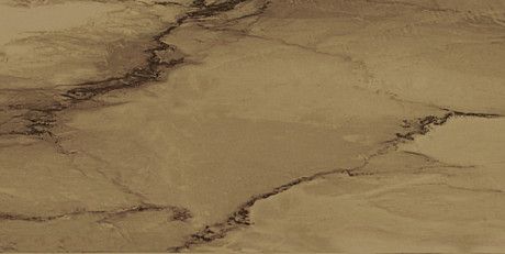 Керамогранит Venus Visone Lapp. Rett (30x60) VEV3LR