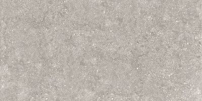 Керамогранит Rue d.s.cloud greige RUE920 (45.5x91)