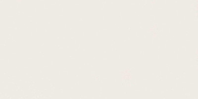 Absolute White Matte 160x320 AJKR