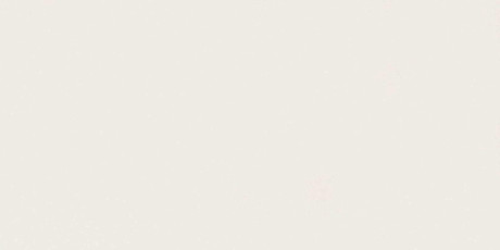 Absolute White Matte 160x320 AJKR