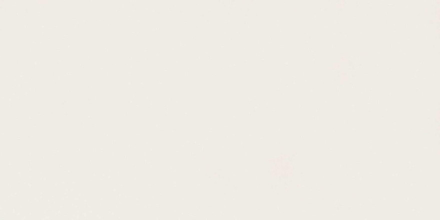Absolute White Matte 160x320 AJKR AJKR