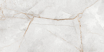 Керамогранит Special Marmo Gray (60x120) 60120PEC15P