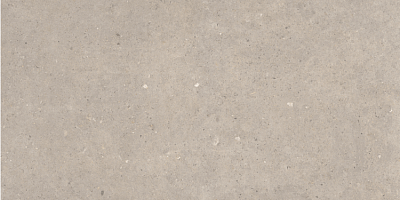 Greige (60x120) 655