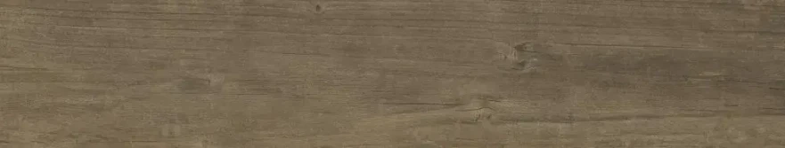 Quercus Noce (22x120) 189007