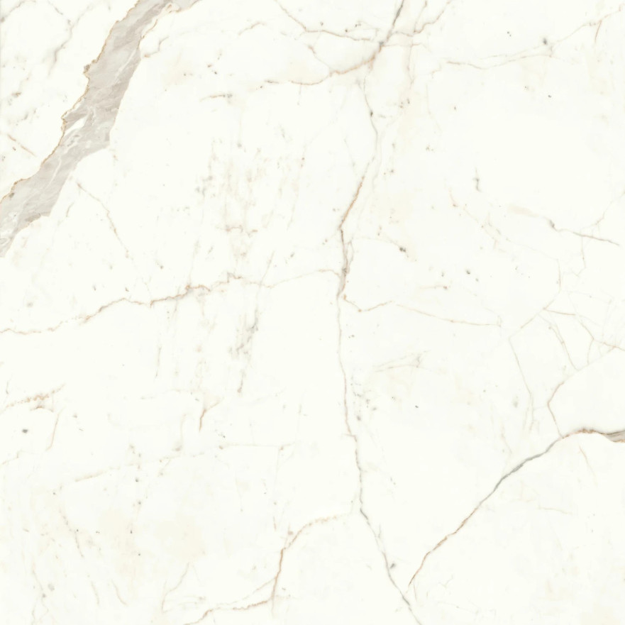 Marvel Calacatta Prestigio 120x120 Matt A4Q5 A4Q5
