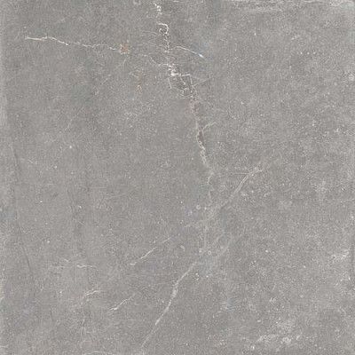 Керамогранит Grey Soft (90x90) 464