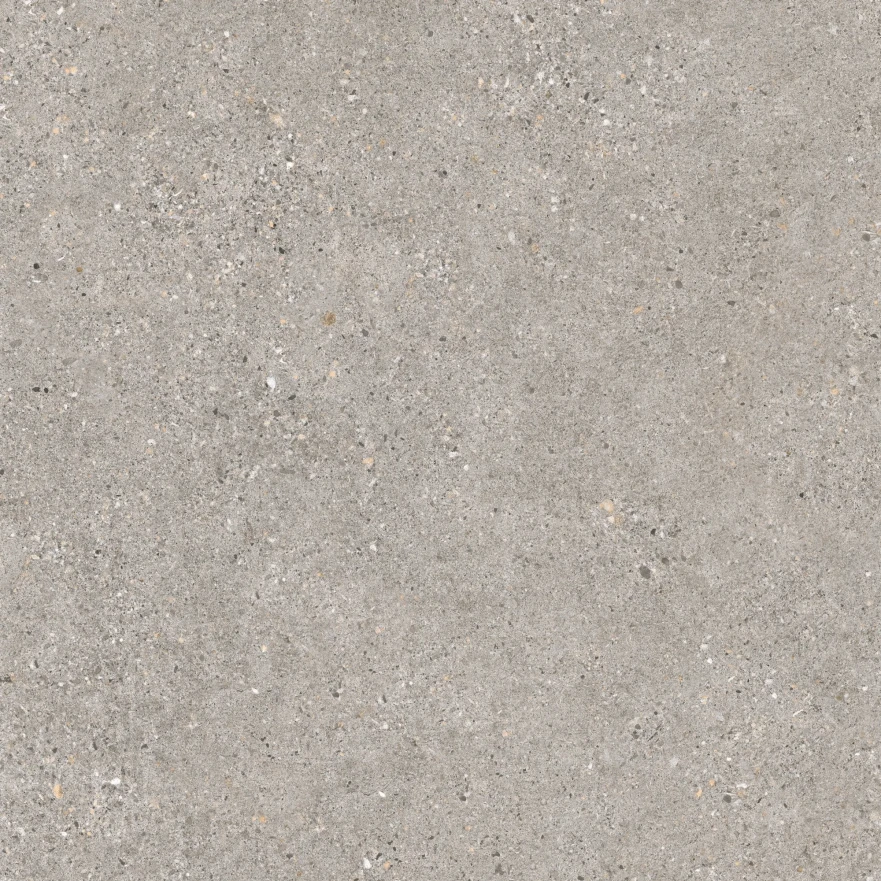 Manhattan Grey Sp (100x100)