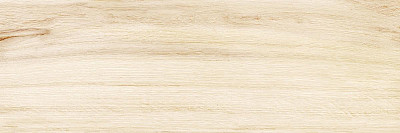 Настенная плитка Canyon Wood (24.6x74) WT15CAC08R