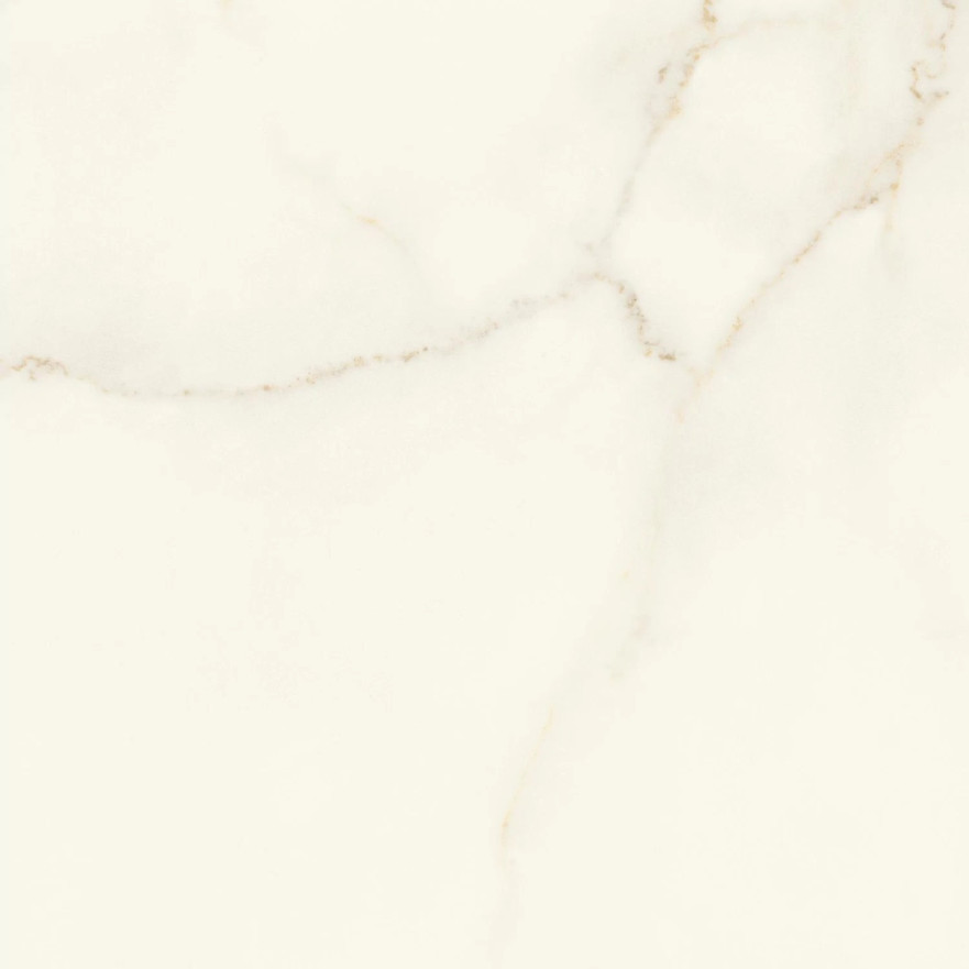 Marvel Calacatta Apuano 60x60 Matt AFV3 AFV3