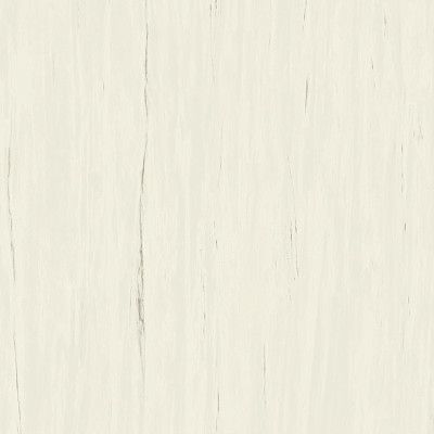 Marvel Bianco Dolomite 120x120 Lapp. AZTT